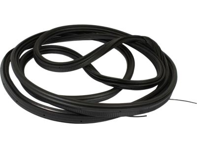 BK3Z-61404A06-A Ford Weatherstrip Product Photo 3 of 5