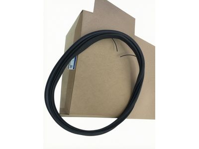 BK3Z-61404A06-A Ford Weatherstrip Product Photo 2 of 3