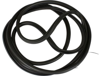 BK3Z-61404A06-A Ford Weatherstrip Product Photo 5 of 5