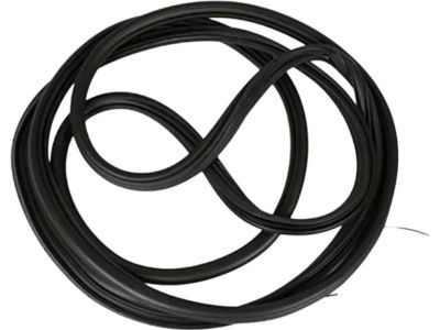 BK3Z-61404A06-A Ford Weatherstrip Product Photo 2 of 5