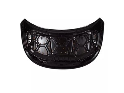 BB5Z-16612-A Ford Hood Assembly Product Photo 3 of 3