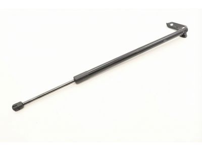 Ford Expedition Lift Support - NL1Z-78406A11-A