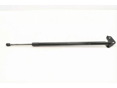 Ford Expedition Lift Support - NL1Z-78406A11-A