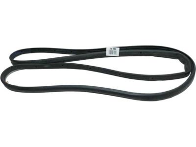 Ford SSV Plug-In Hybrid Door Seal - DS7Z-5425325-F