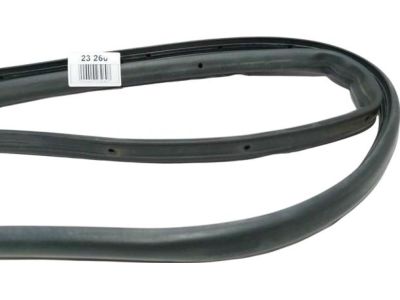 Ford SSV Plug-In Hybrid Door Seal - DS7Z-5425325-F