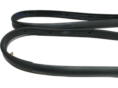 Ford SSV Plug-In Hybrid Door Seal - DS7Z-5425325-F