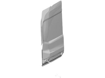 Ford CK4Z-6140011-D Door Assembly - Rear