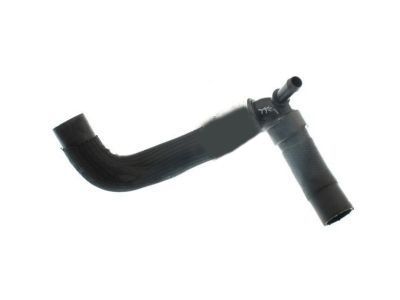 Ford DG9Z-8286-D Hose - Radiator