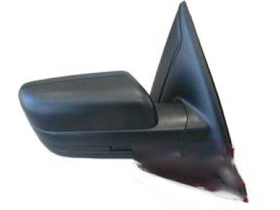 2012 Ford F-150 Car Mirror - BL3Z-17682-BACP