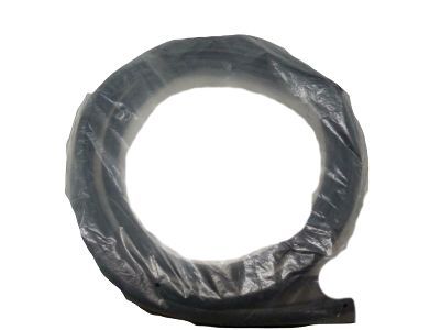 Ford Escape Door Seal - CJ5Z-7820708-B