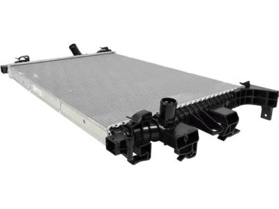 G1FZ-8005-A Ford Radiator Assembly Product Photo 3 of 5