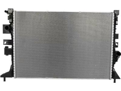G1FZ-8005-A Ford Radiator Assembly Product Photo 4 of 5