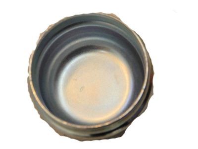 Ford 9L1Z-1131-A Cap - Grease