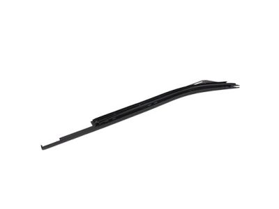 Ford FL3Z-1825597-A Weatherstrip - Door Glass Channel