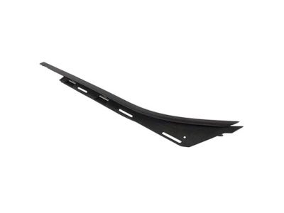 Ford FL3Z-1825597-A Weatherstrip - Door Glass Channel