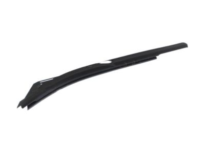 Ford FL3Z-1825597-A Weatherstrip - Door Glass Channel