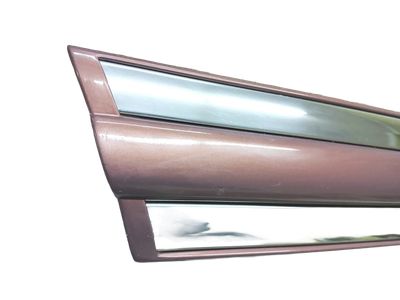 F3VY-5425556-AA Ford Door Outside Moulding Product Photo 1 of 3