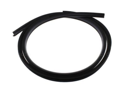 Ford Explorer Door Seal - BB5Z-78253A10-B