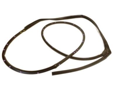 Mercury Montego Door Seal - 5F9Z-7425324-AB