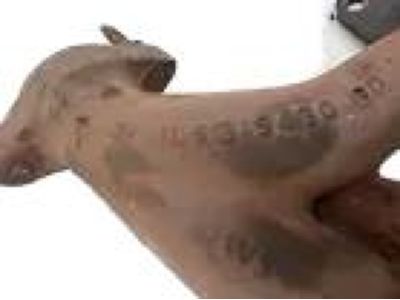 2008 Ford Ranger Exhaust Manifold - 1L5Z-9430-BF