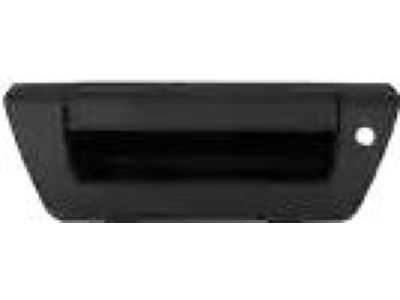 Ford Tailgate Handle - FL3Z-9943400-HA