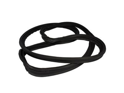 2004 Lincoln LS Weather Strip - 1W4Z-5443720-AA