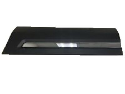 2017 Ford Explorer Door Moldings - FB5Z-7820879-DA