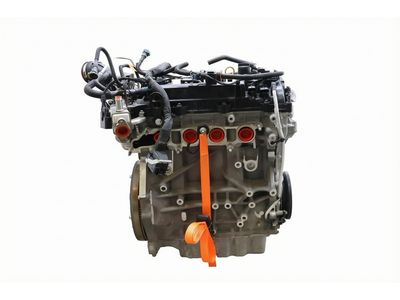 2023 Lincoln Corsair Cylinder Head - LX6Z-6049-A