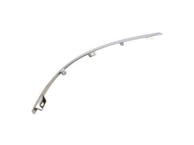 Ford 3W4Z-17C829-BA Moulding - Bumper Bar