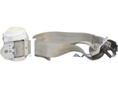 Ford C-Max Seat Belt - DM5Z-58611B68-AD