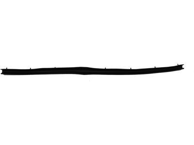 Ford F81Z-2520758-AA Weatherstrip - Door - Lower