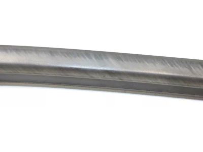 Ford Ranger Door Moldings - AB3Z-2625555-C