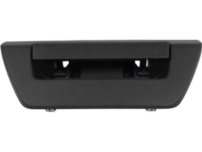Ford F-150 Tailgate Handle - JL3Z-9943400-CA