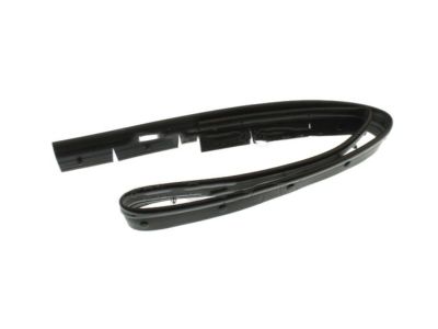 Ford CT4Z-16B990-A Weatherstrip