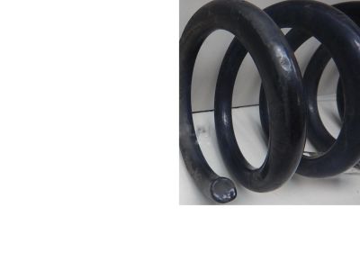 2018 Ford Escape Coil Springs - CV6Z-5560-K
