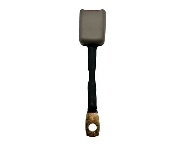 Lincoln F1OY-5461202-CC