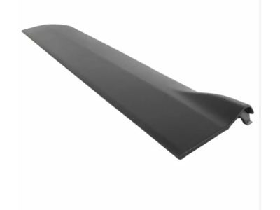 2017 Ford Escape Door Moldings - CJ5Z-7820879-AB