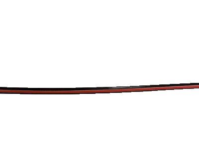 Ford EG1Z-5451728-D Moulding - Roof Side Trim