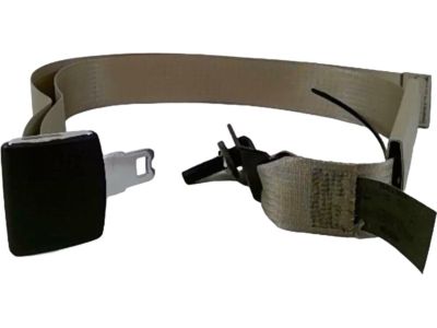 Ford 1L3Z-18611B60-AAA