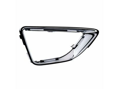 Ford AE5Z-17E810-F Grille - Bumper