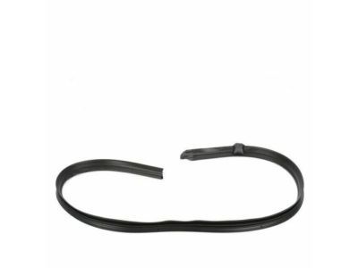 Ford F-150 Weather Strip - 5L3Z-1851222-AA