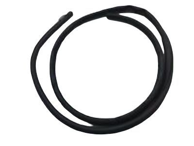 2005 Ford Expedition Weather Strip - 3L1Z-78253A10-BA