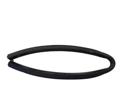 Ford FA1Z-5820759-B Weatherstrip - Door - Lower