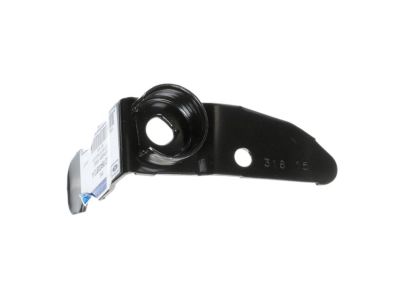 Ford 1L5Z-99430B12-A Retainer - Hinge