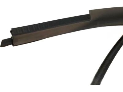 2004 Lincoln LS Door Seal - 4W4Z-54253A10-AAA