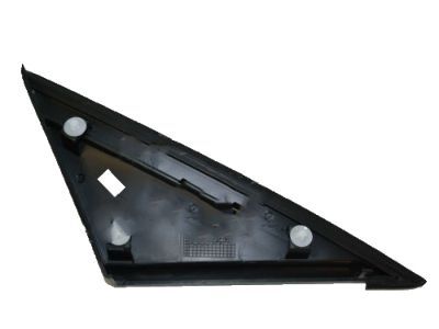 Ford CP9Z-16003-A Moulding