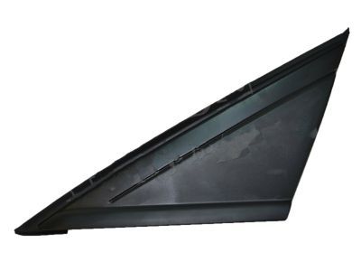 Ford CP9Z-16003-A Moulding