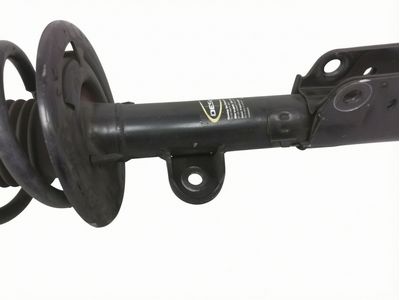 Ford Explorer Coil Springs - BB5Z-5310-D