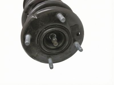 Ford Explorer Coil Springs - BB5Z-5310-D