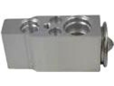 Ford Expedition A/C Expansion Valve - 7L1Z-19849-C